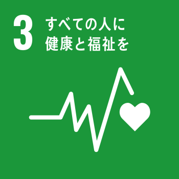 SDGsロゴ3番
